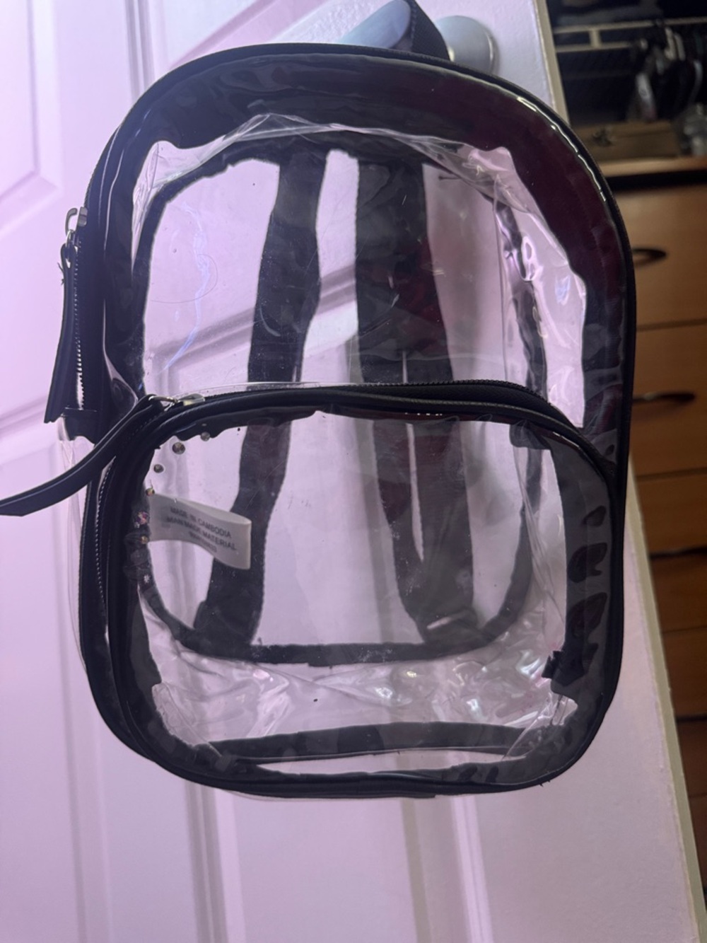 Clear Mini Backpack with Black Trim - Compact Transparent Bag